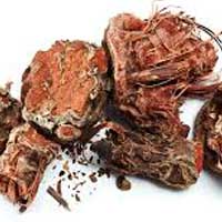 Rhodiola Rosea