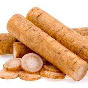 Burdock Icon