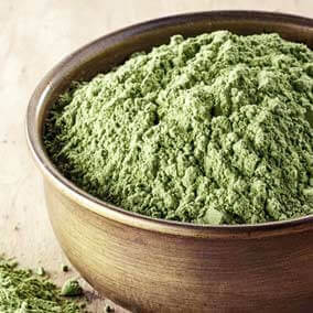 Chlorella Icon