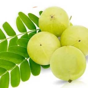 Amla Icon