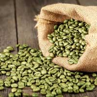 Green Coffee Bean Extract