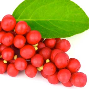 Schisandra Berry